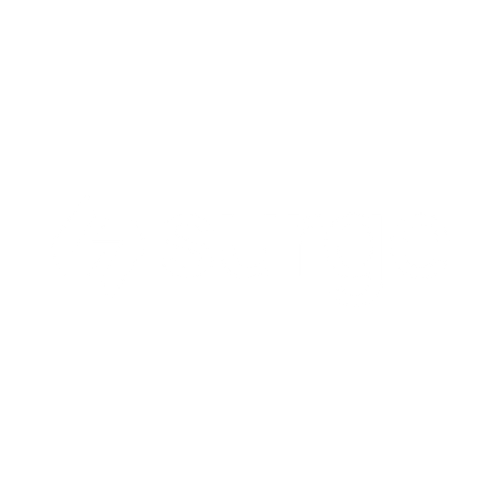 Surge Group