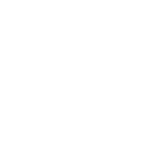 Vu Windows Logo